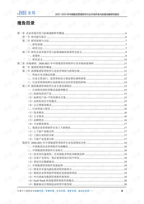 2021-2025年中國集團(tuán)管理軟件與教育軟件行業(yè)市場開發(fā)與拓展戰(zhàn)略研究